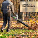 Cordless Electric Leaf Blower – 990,000 RPM, 2 Batteries & Charger, 5 Speeds, Lightweight for Lawn, Patio, Car & Snow